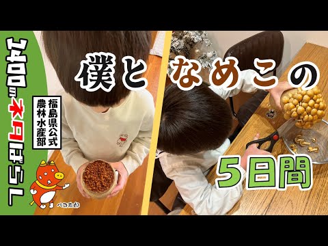 Recommendation for Food Education: A 6-year-old tries cultivating