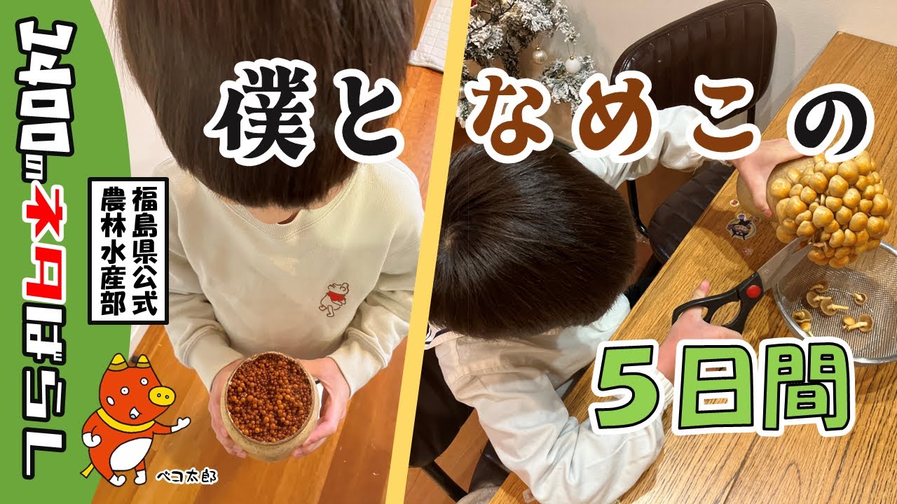 ダイエット・健康 nameko Recommendation for Food Education: A 6-year-old tries cultivating