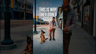 How To Train Your Dog When They Don’t Get It