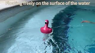 b&h Pool Chlorine Dispenser for 1 Inch Tablets Only - Mini Floating Chlorine Floater