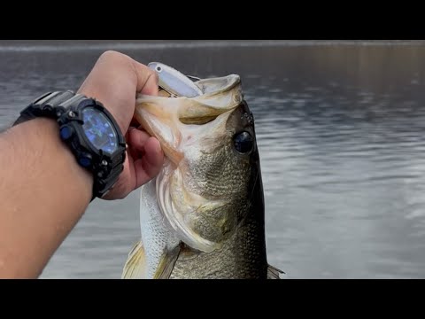 Fall Freshwater Bass Fishing