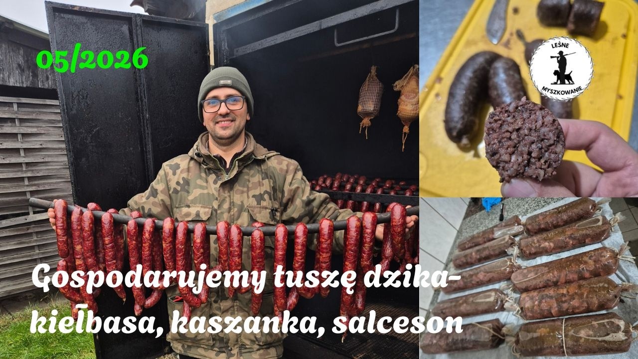 LEŚNE MYSZKOWANIE- 05/2026 Gospodarujemy tuszę dzika- kiełbasa, kaszanka, salceson.