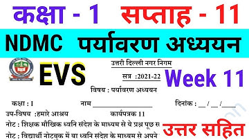 NDMC Class 1 EVS Week 11 Worksheet 11 (11/8/21) पर्यावरण अध्ययन सप्ताह 11 Class 1st week 11 solution