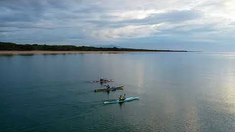 Glassy morning at Forrest Beach - STINGRAYS, SHOVE...