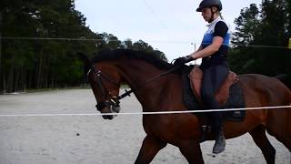 USEF Second Level Test 3 - Christine Barlow and Action - Barebackpad 71.860%