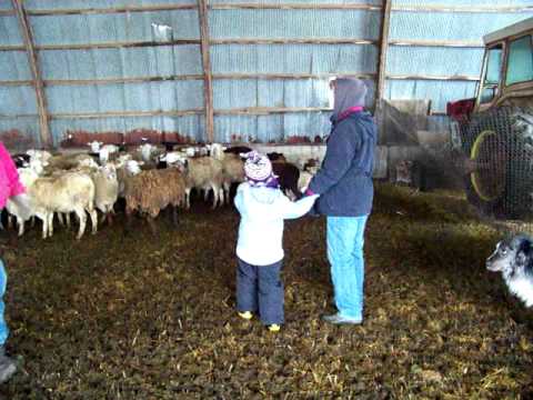 100_0962.mov