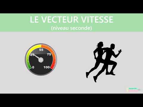 Vitesse Et Mouvement 2sde Lycée Physique Chimie 
