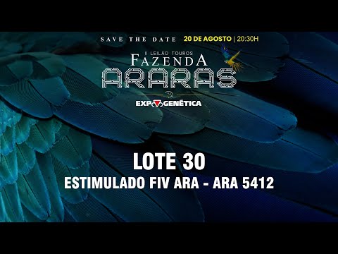 LOTE 30 ARA 5412