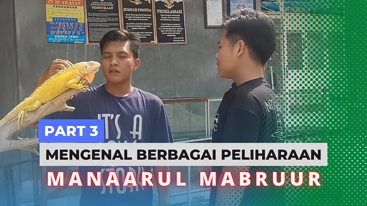 Mengenal Berbagai Macam Peliharaan Di Panti Manaarul Mabruur