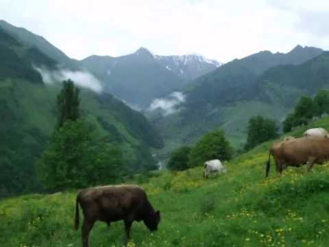 გუდამაყარი gudamakari