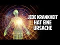 Gesundheit ist kein Zufall: Jede Krankheit hat eine Ursache - Gerhard Vester