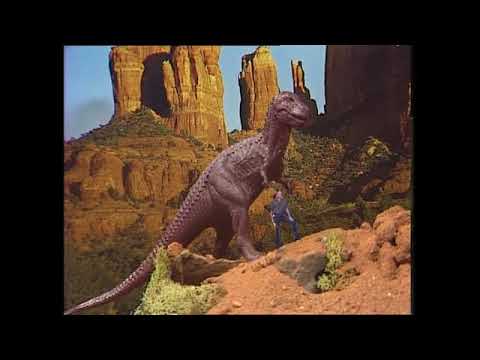 A look at the world's biggest animals - A look at the world's biggest animals