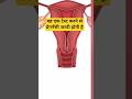Pregnancy test| प्रेगनेंसी कैसे होती है #pregnancy #me #love #viralvideo #viralshorts #youtube
