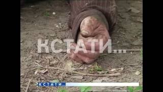 Пациент, которого отказалась забирать Пациент, которого отказалась забирать