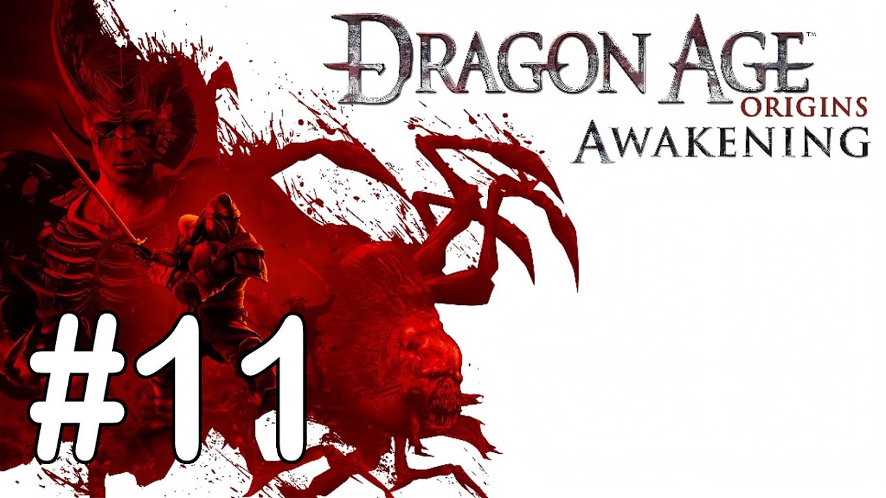 #11 Лес Виндинг [Dragon Age: Origins - Awakening]