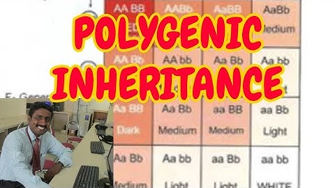 POLYGENIC INHERITANCE - TAMIL EXPLANATION