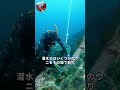 潜水士が魚にウニを割って食べさせる真の目的#雑学