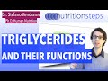 Triglycerides and Their Functions