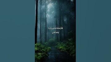#اكتب_شي_تؤجر_عليه #القرآن_الكريم #ياسر_الدوسري #سورة_القصص 