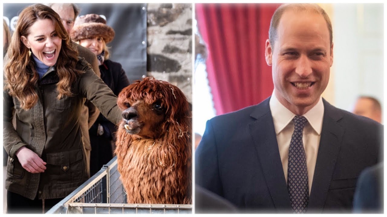 Duchess Kate SURPRISE Visit Ireland! & Prince William Supports Orphans!