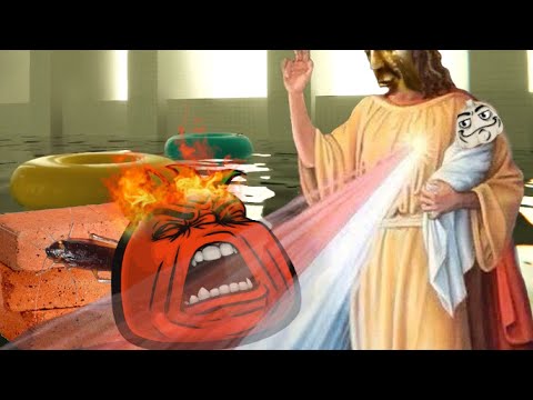 Consuming Thousands of Bugs Under God's Light | Pools