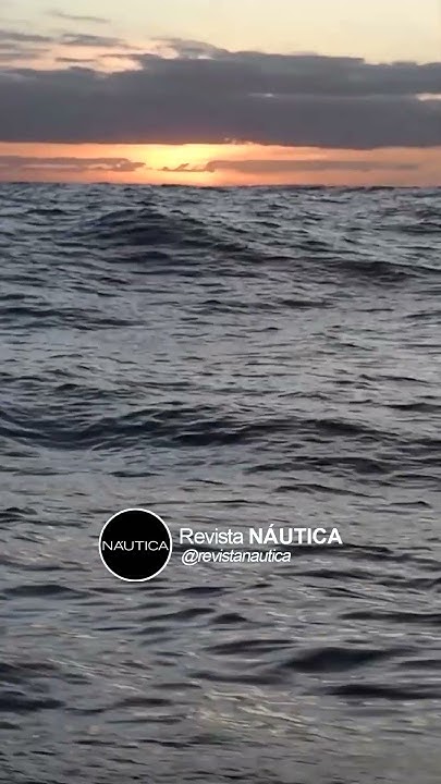 🤯👀 Você Já Viu O Último Episódio?