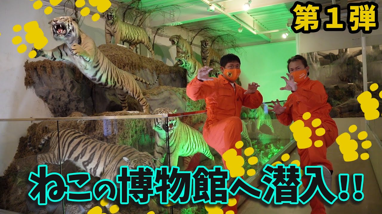 【世界最大級！？】ねこの博物館へ潜入！第１弾