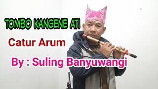 SULING BANYUWANGI //TOMBO KANGENE ATI ( CATUR ARUM ) INSTRUMENTALIA