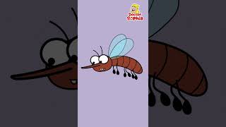 Buzz Buzz! Mosquito's Here | Boo Boo Song | Kids Songs #shorts