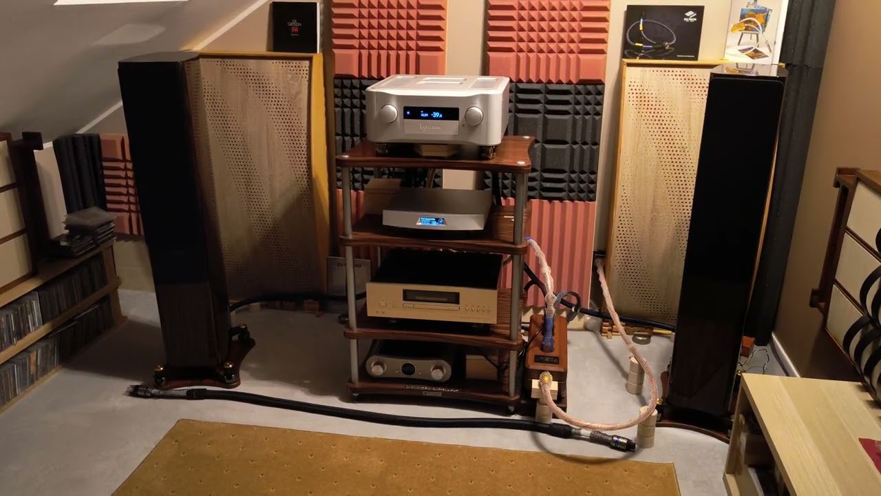 Esoteric F01 Lumin T2 Dynaudio Contour 30 #94