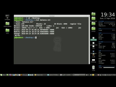 TerminalLab: the STAT command