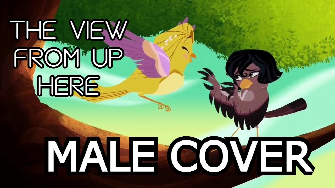 The View From Up Here (Male Version)