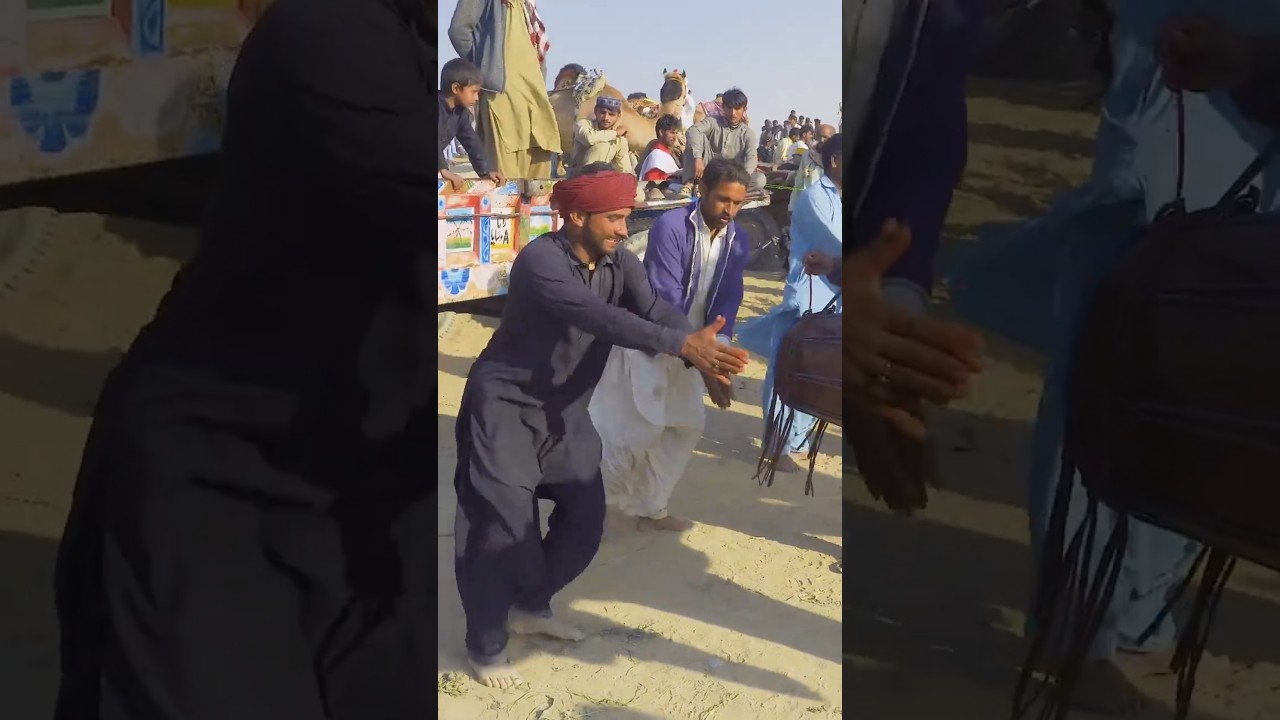 Camel Festival | Festival in desert | Chanan Pir Festival