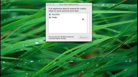 How to put applications in full screen on Mac OS X Snow Leopard