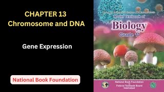 Gene Expression Part 1| Chapter 13| Class 11 Biology| National book foundation| New Book