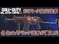 シーズン2ランクの迷彩報酬がカッコよすぎる!!ゴールド帯到達で全武器の金迷彩解除できる件についてwww【COD:BO6実況】