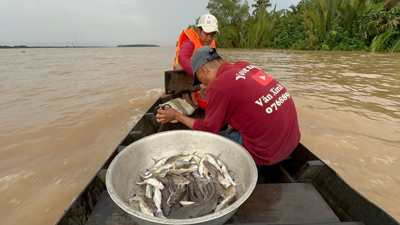 Bữa nay Em Nam trổ tài kéo Câu trúng mánh cá Ngát bự quá ngon 