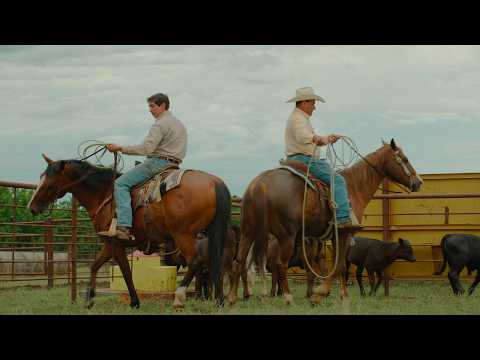 Music Video Preview