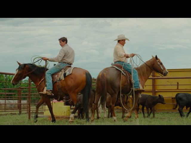 Wyatt Flores - Half The Man