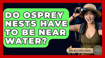Do Osprey Nests Have To Be Near Water? - Bird Watching Diaries