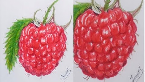 How to Draw a Realistic Raspberry with Colored Pencils Step by Step | Fruit Drawing