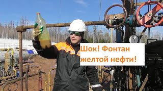 Найдена желтая нефть высшего качества! Нефтяной фонтан из-под земли на месторождении Сибири