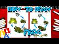How To Draw The Frog Life Cycle