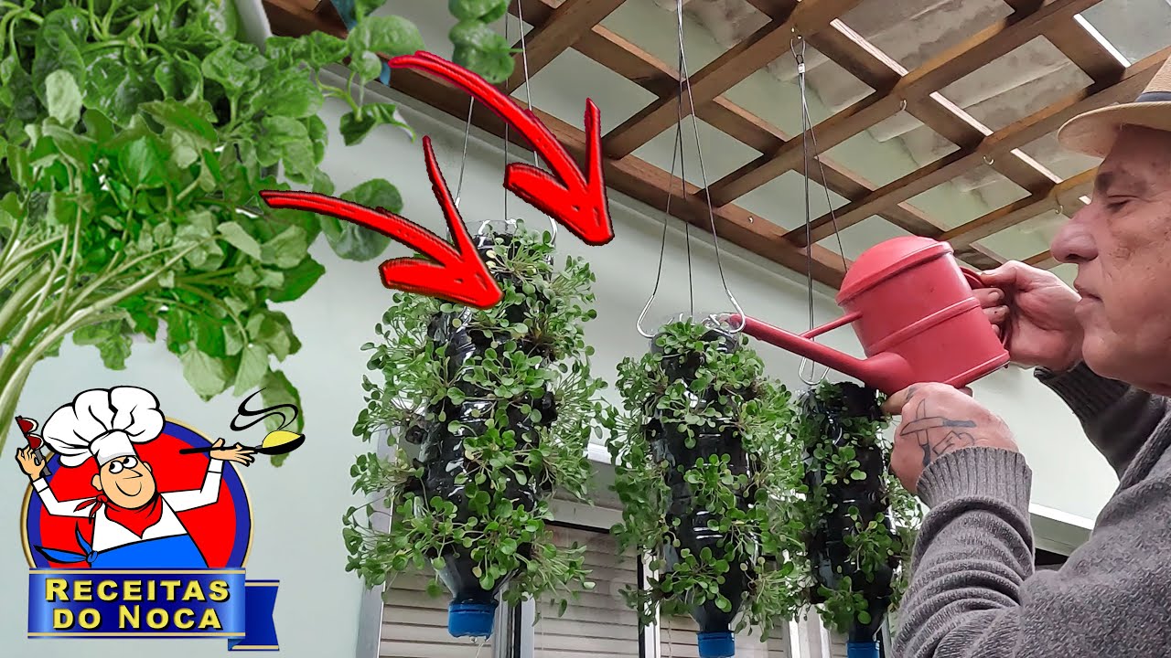 ME AMARREI NESTA IDEIA, PLANTAR NA GARRAFA PET VAI VIRAR MODA DEPOIS DESTE VÍDEO #receitasdonoca