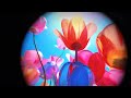 Samsung EMagin Micro OLED At Display Week 2025 5000PPI 15 000 Nits Displays For VR And AR Samsung EMagin Micro OLED At Display Week 2025 5000PPI 15 000 Nits Displays For VR And AR