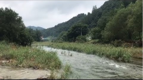[캠핑로그] 저세상텐션으로 놀기 1탄