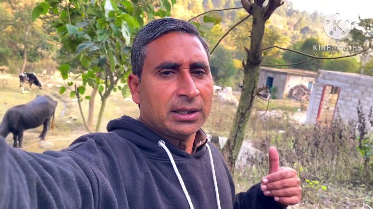 humary ghar k pass dadaron ka copa laga