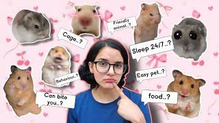 5 Things you need to know BEFORE taking a HAMSTER🐹..!!