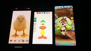 A Talking Chick Echo Vs Talking Pato Echo Vs Talking Baby Squirrel Echo (5/28/2025) (Read DESC) screenshot 4