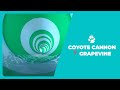 Coyote Cannon Virtual Tour - Great Wolf Lodge Grapevine